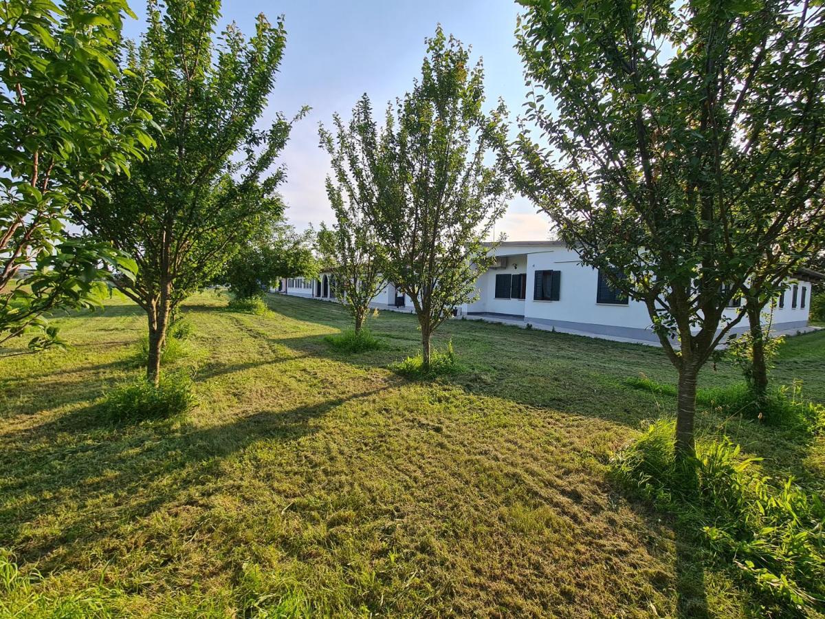 Agriturismo Ca Novak Venezia Spinea Ngoại thất bức ảnh