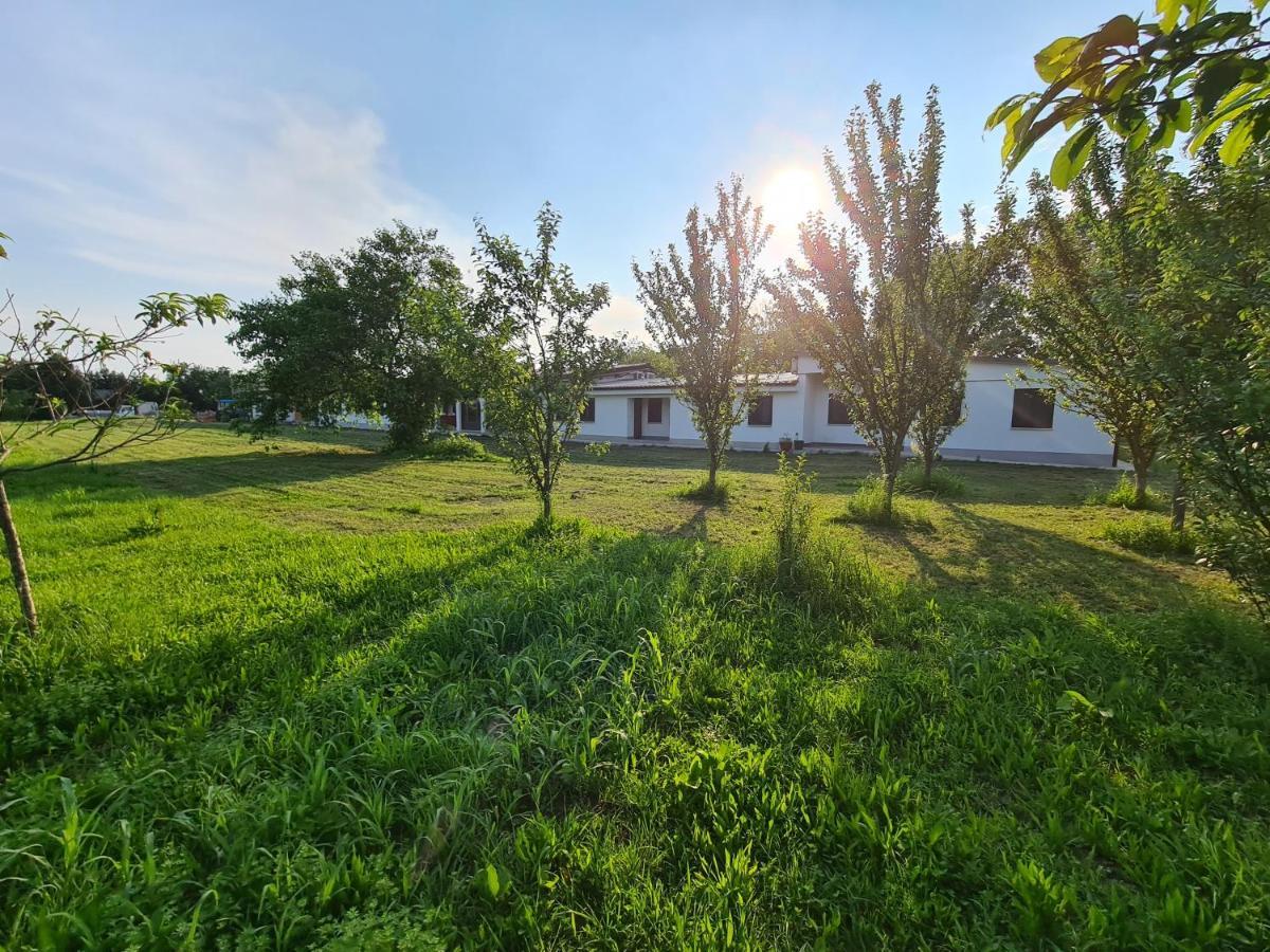 Agriturismo Ca Novak Venezia Spinea Ngoại thất bức ảnh